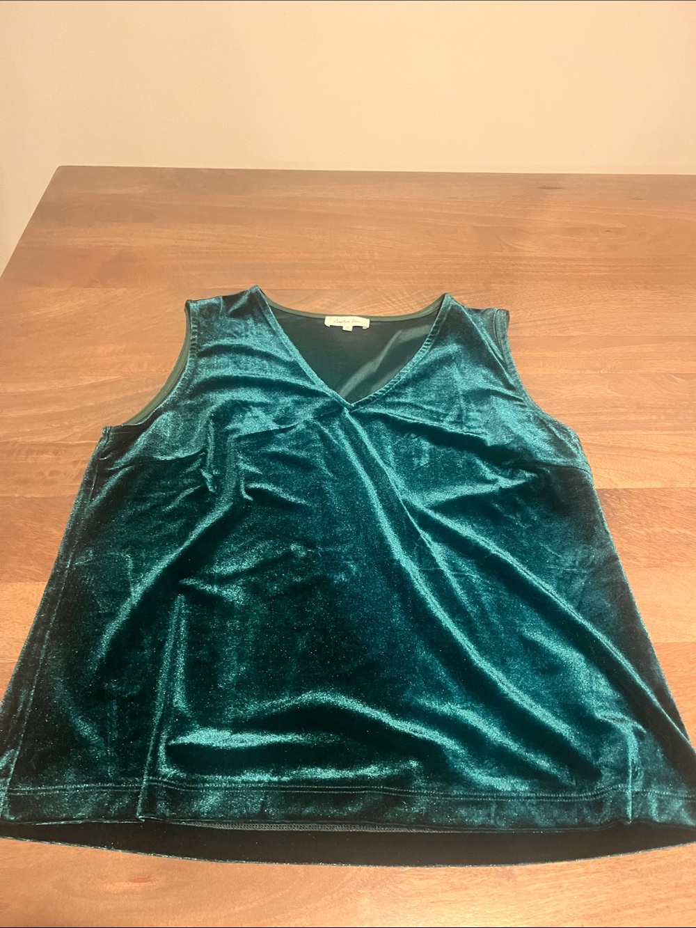 Another Love Forest  Velvet V-Neck Tank Sz M NWT